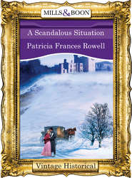 бесплатно читать книгу A Scandalous Situation автора Patricia Rowell