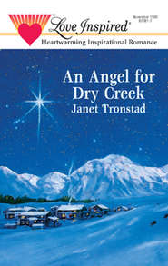 бесплатно читать книгу An Angel for Dry Creek автора Janet Tronstad