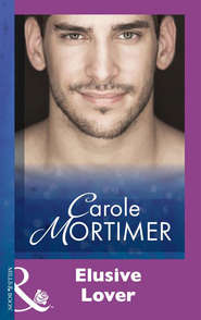 бесплатно читать книгу Elusive Lover автора Кэрол Мортимер