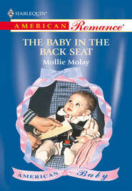бесплатно читать книгу The Baby In The Back Seat автора Mollie Molay