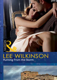 бесплатно читать книгу Running From the Storm автора Lee Wilkinson