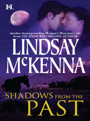 бесплатно читать книгу Shadows from the Past автора Lindsay McKenna
