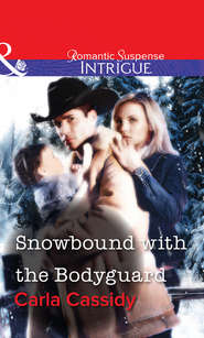 бесплатно читать книгу Snowbound with the Bodyguard автора Carla Cassidy