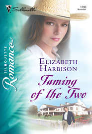 бесплатно читать книгу Taming of the Two автора Elizabeth Harbison