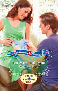 бесплатно читать книгу Ten Acres And Twins автора Kaitlyn Rice