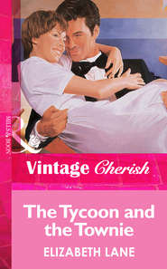бесплатно читать книгу The Tycoon and the Townie автора Elizabeth Lane