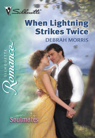 бесплатно читать книгу When Lightning Strikes Twice автора Debrah Morris