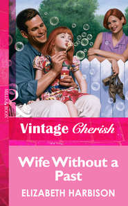 бесплатно читать книгу Wife Without a Past автора Elizabeth Harbison