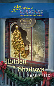 бесплатно читать книгу Hidden in Shadows автора Hope White