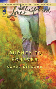 бесплатно читать книгу Journey To Forever автора Carol Steward