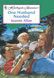 бесплатно читать книгу One Husband Needed автора Jeanne Allan