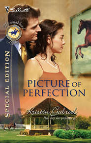 бесплатно читать книгу Picture Of Perfection автора Kristin Gabriel