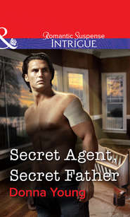 бесплатно читать книгу Secret Agent, Secret Father автора Donna Young