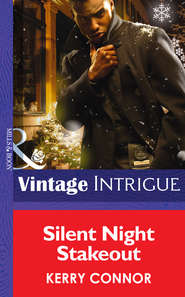 бесплатно читать книгу Silent Night Stakeout автора Kerry Connor