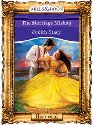 бесплатно читать книгу The Marriage Mishap автора Judith Stacy