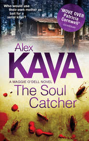 бесплатно читать книгу The Soul Catcher автора Alex Kava