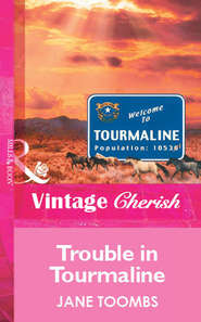 бесплатно читать книгу Trouble In Tourmaline автора Jane Toombs