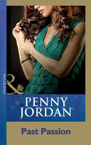 бесплатно читать книгу Past Passion автора Пенни Джордан