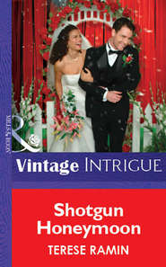 бесплатно читать книгу Shotgun Honeymoon автора Terese Ramin