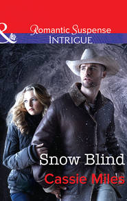 бесплатно читать книгу Snow Blind автора Cassie Miles