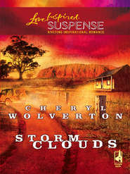 бесплатно читать книгу Storm Clouds автора Cheryl Wolverton