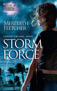 бесплатно читать книгу Storm Force автора Meredith Fletcher