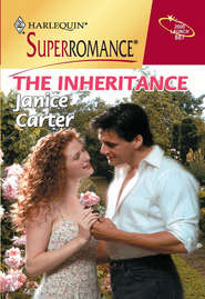 бесплатно читать книгу The Inheritance автора Janice Carter