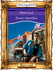 бесплатно читать книгу Wild Card автора Susan Amarillas