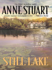 бесплатно читать книгу Still Lake автора Anne Stuart