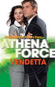 бесплатно читать книгу Vendetta автора Meredith Fletcher