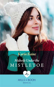 бесплатно читать книгу Midwife Under The Mistletoe автора Karin Baine