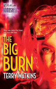 бесплатно читать книгу The Big Burn автора Terry Watkins