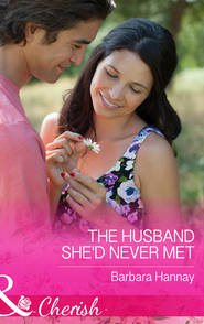 бесплатно читать книгу The Husband She'd Never Met автора Barbara Hannay