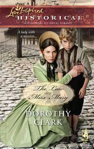 бесплатно читать книгу The Law and Miss Mary автора Dorothy Clark