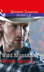 бесплатно читать книгу Wild Montana автора Danica Winters