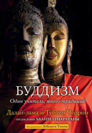 бесплатно читать книгу Буддизм. Один учитель, много традиций автора  Далай-лама XIV