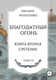 бесплатно читать книгу Благодатный огонь, книга вторая. «Сретение» автора Евгений Игнатенко