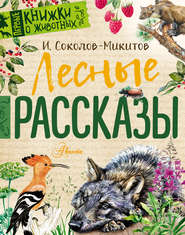 бесплатно читать книгу Лесные рассказы автора Иван Соколов-Микитов