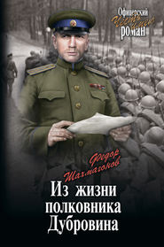 бесплатно читать книгу Из жизни полковника Дубровина автора Николай Шахмагонов