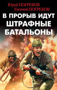 бесплатно читать книгу В прорыв идут штрафные батальоны автора Юрий Погребов