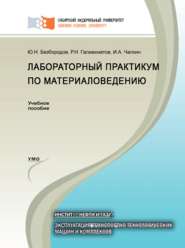 бесплатно читать книгу Лабораторный практикум по материаловедению автора Юрий Безбородов