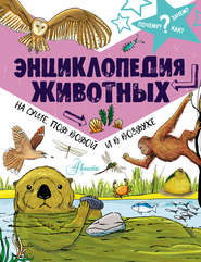 бесплатно читать книгу Энциклопедия животных: на суше, под водой и в воздухе автора Джон Фарндон