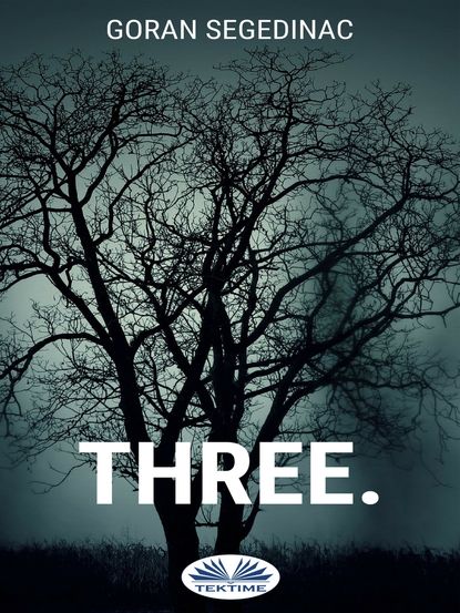 бесплатно читать книгу Three. автора Goran Segedinac