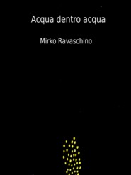 бесплатно читать книгу Acqua Dentro Acqua автора Mirko Ravaschino
