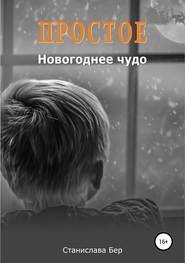 бесплатно читать книгу Простое новогоднее чудо автора Станислава Бер