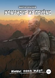 бесплатно читать книгу Командир на приёме автора Виктор Краснов