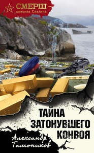 бесплатно читать книгу Тайна затонувшего конвоя автора Александр Тамоников
