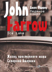 бесплатно читать книгу Ледяное озеро автора Джон Фарроу