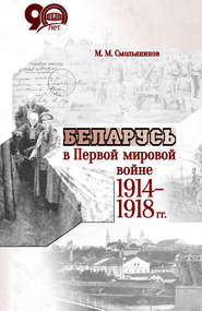 бесплатно читать книгу Беларусь в Первой мировой войне 1914-1918 гг. автора Михаил Смольянинов