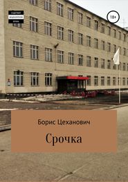 бесплатно читать книгу Срочка автора Борис Цеханович